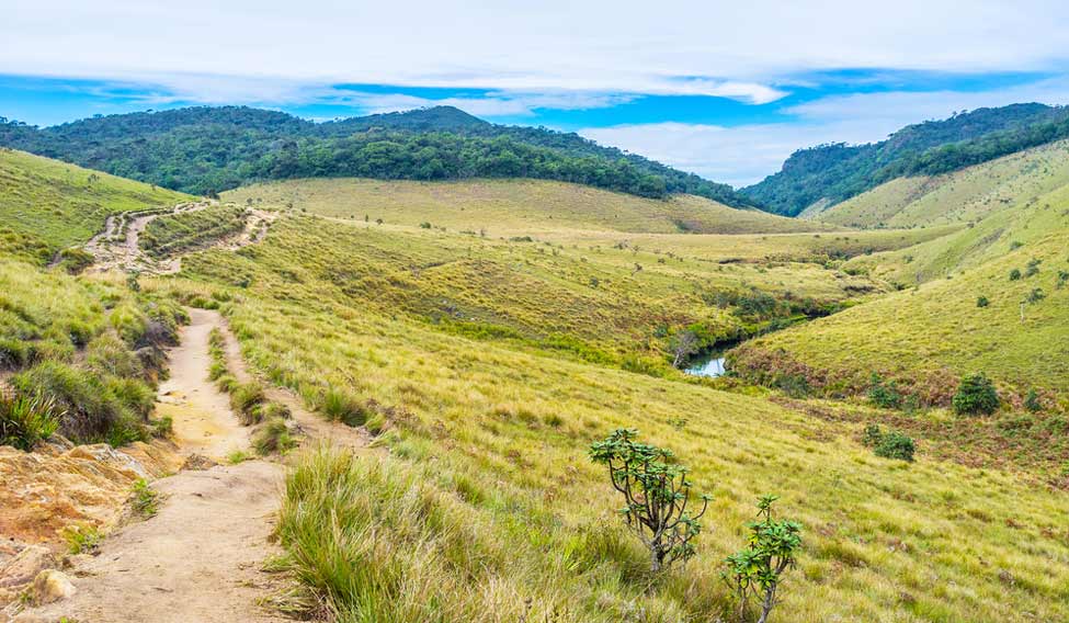 horton-plains-sri-lanka